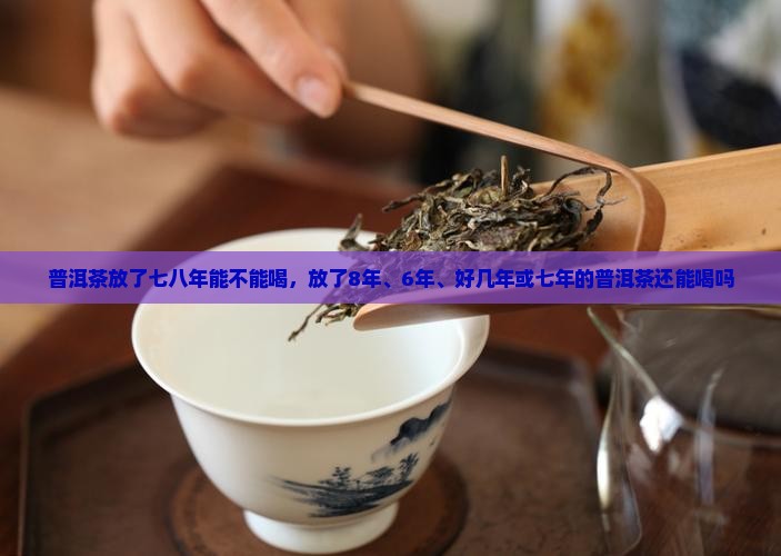 普洱茶放了七八年能不能喝