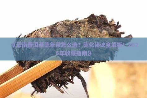 云南普洱茶陈年茶