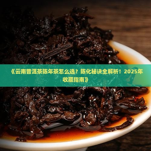 云南普洱茶陈年茶