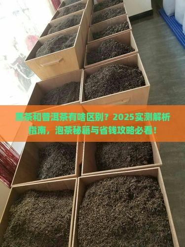 黑茶是普洱茶吗怎么泡好