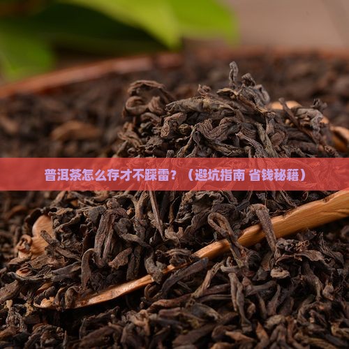 普洱茶用什么储存比较好