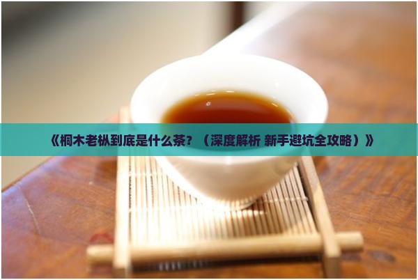 桐木老枞是什么茶