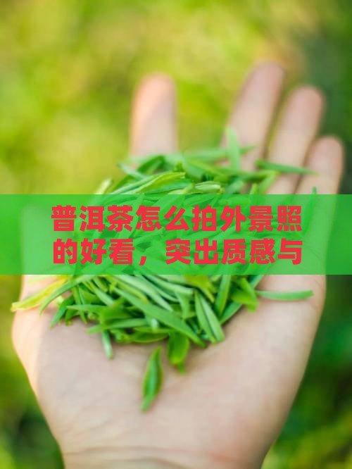 普洱茶怎么拍外景照的好