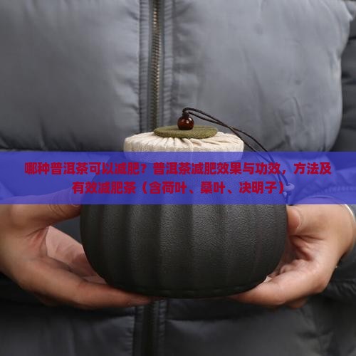 有一种普洱茶可以减肥