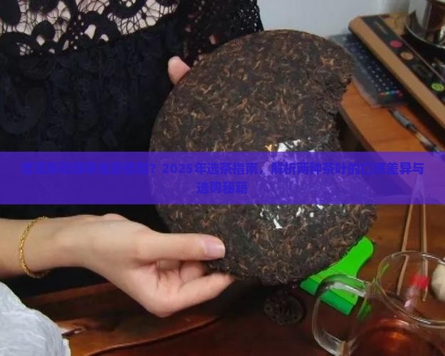 普洱茶和绿茶谁香甜