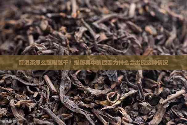 普洱茶怎么越喝越干