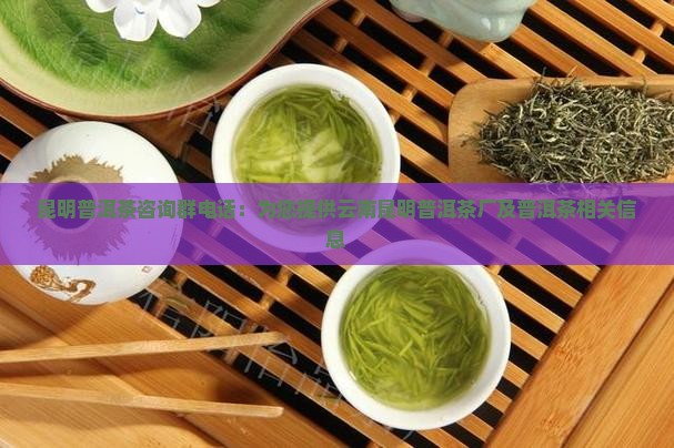 昆明普洱茶咨询群电话 昆明普洱茶咨询群电话