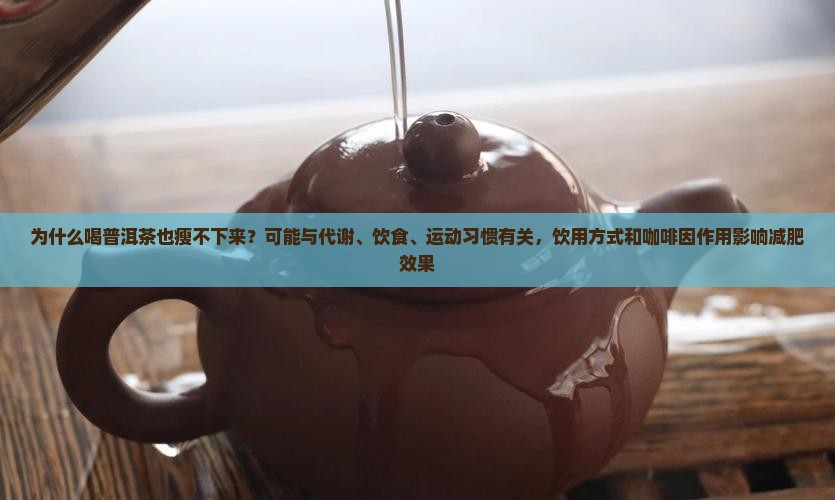 喝普洱茶也瘦不下来
