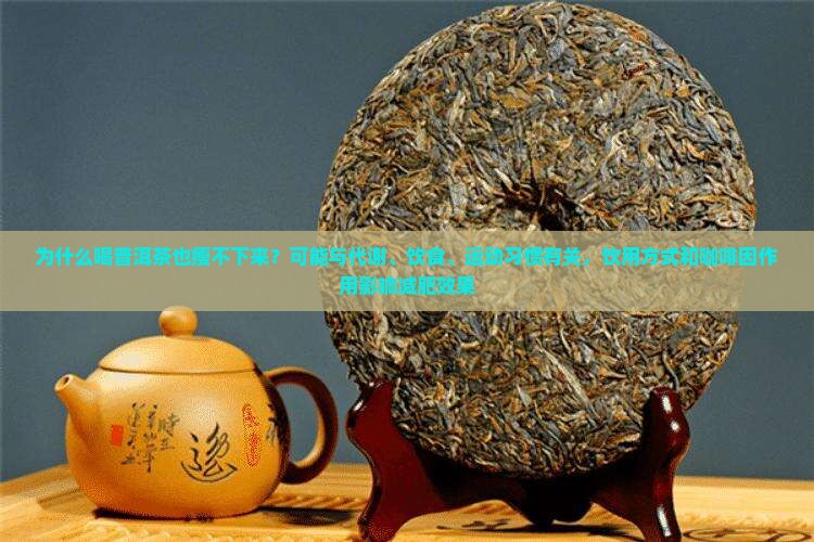 喝普洱茶也瘦不下来