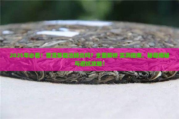 普洱茶可以治疗肠炎吗