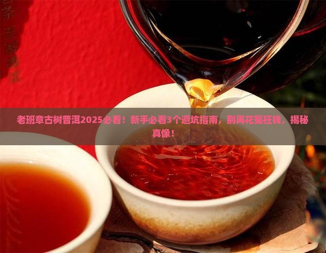 老班章古树普洱