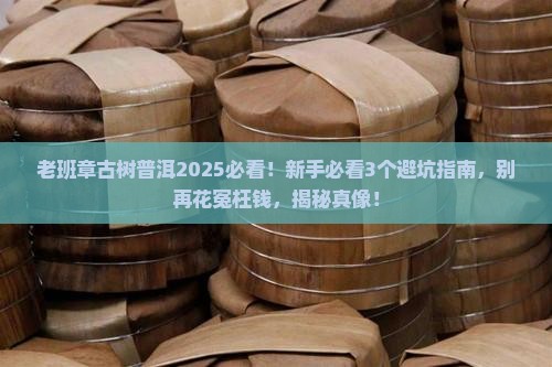 老班章古树普洱