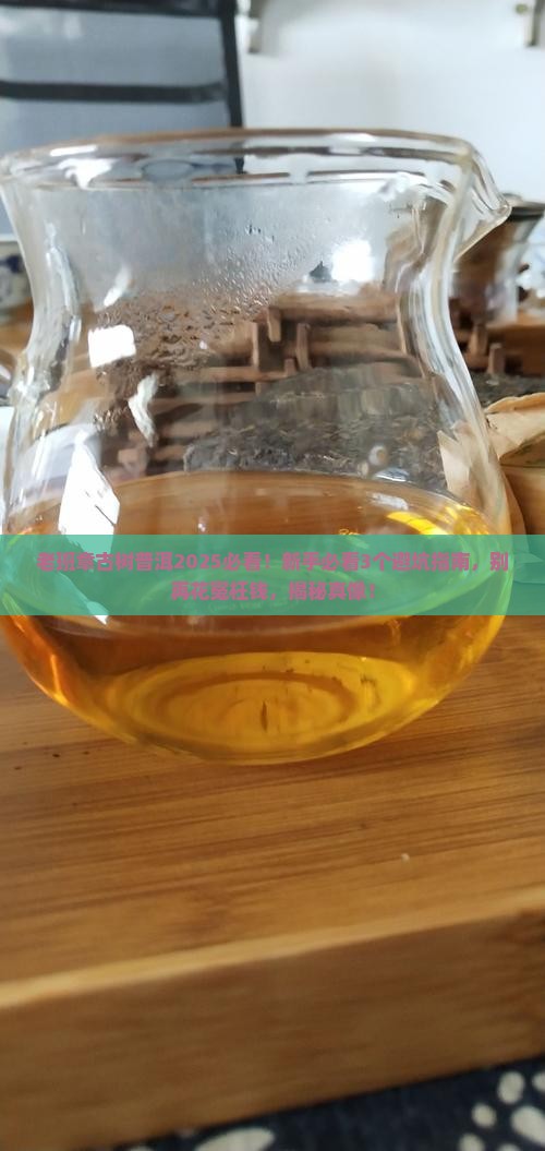 老班章古树普洱