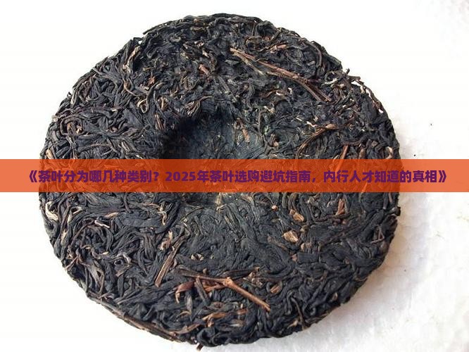 茶叶分为哪几本类别