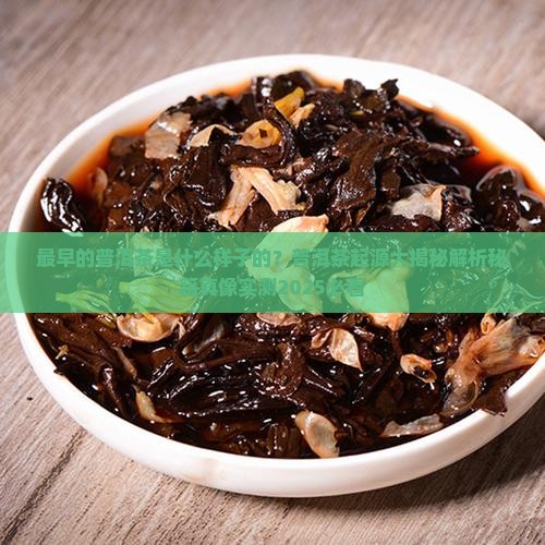 最早的普洱茶是什么样子的