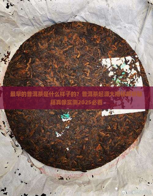 最早的普洱茶是什么样子的