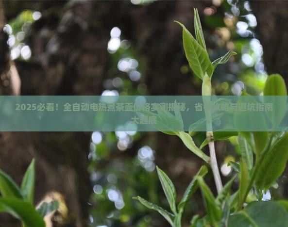 全自动电热煮茶壶价格