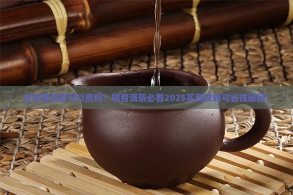 生茶普洱茶可以煮吗喝普洱茶要