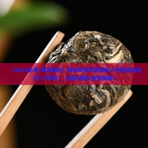潍坊俊仲号普洱茶 潍坊俊仲号普洱茶