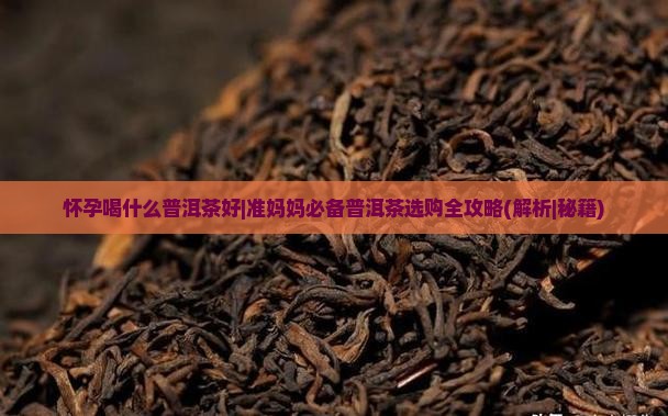 怀孕喝什么普洱茶好