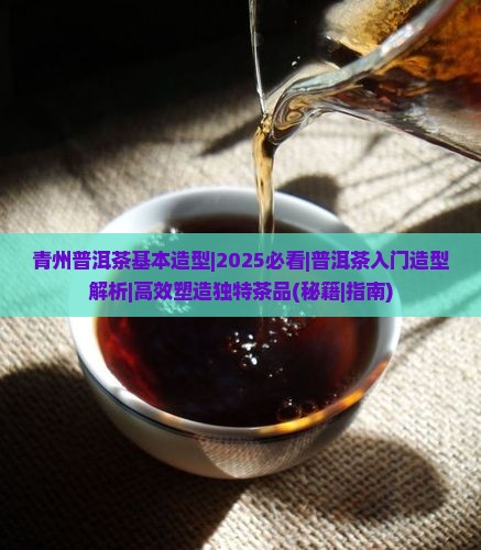 青州普洱茶基本造型
