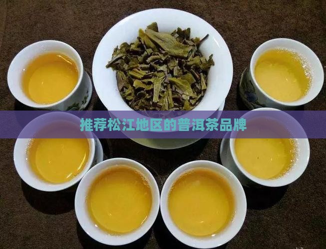 松江熟普洱茶品牌