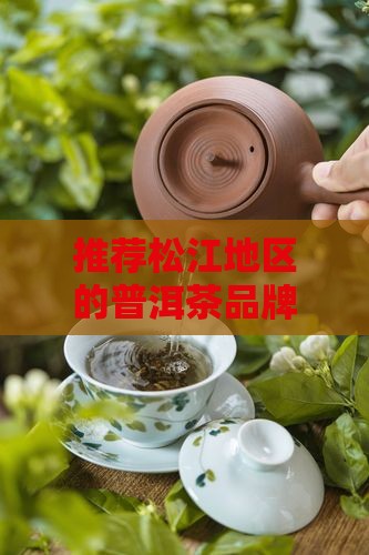 松江熟普洱茶品牌