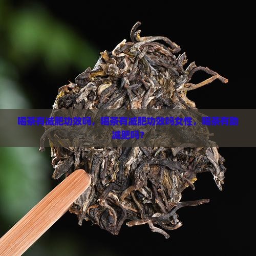 喝茶有减肥功效吗