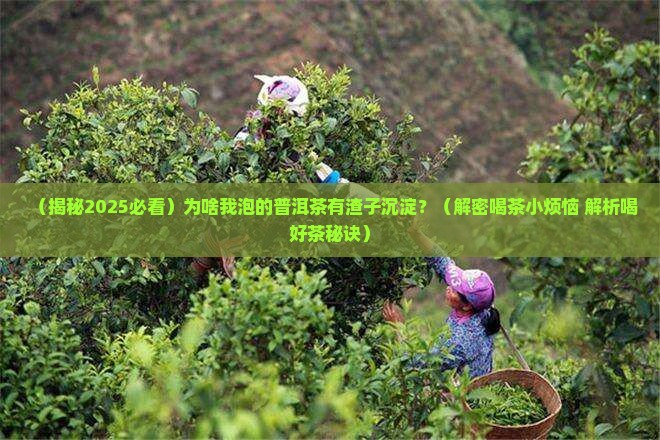 普洱茶有渣子沉淀