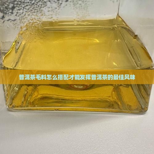 普洱茶毛料怎么搭配