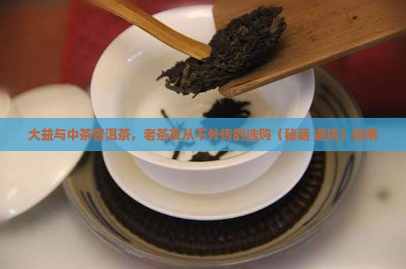 大益与中茶普洱茶