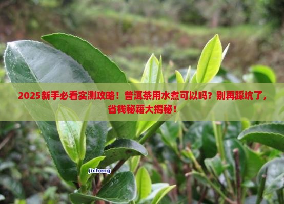 普洱茶用水煮可以吗