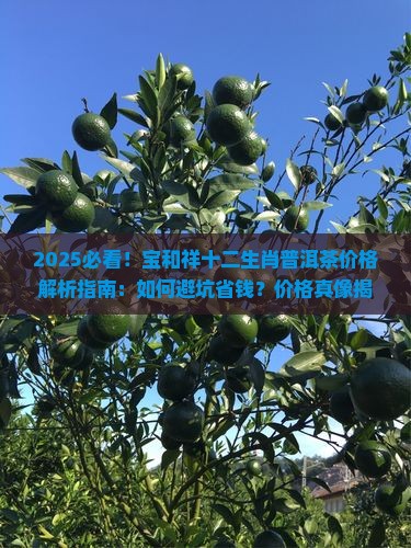 宝和祥十二生肖普洱茶价格