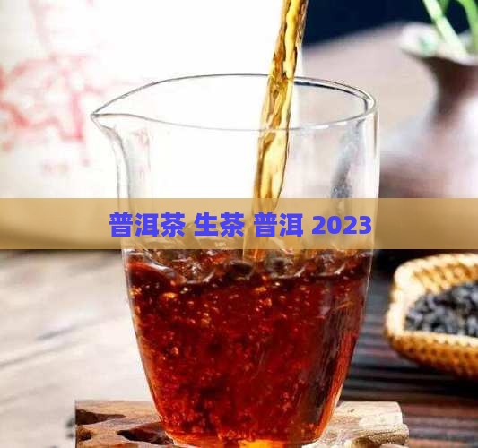 普洱茶生普2023