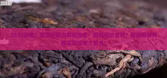 普洱茶的概念模糊