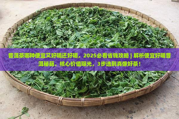 普洱茶哪种便宜又好喝还好喝