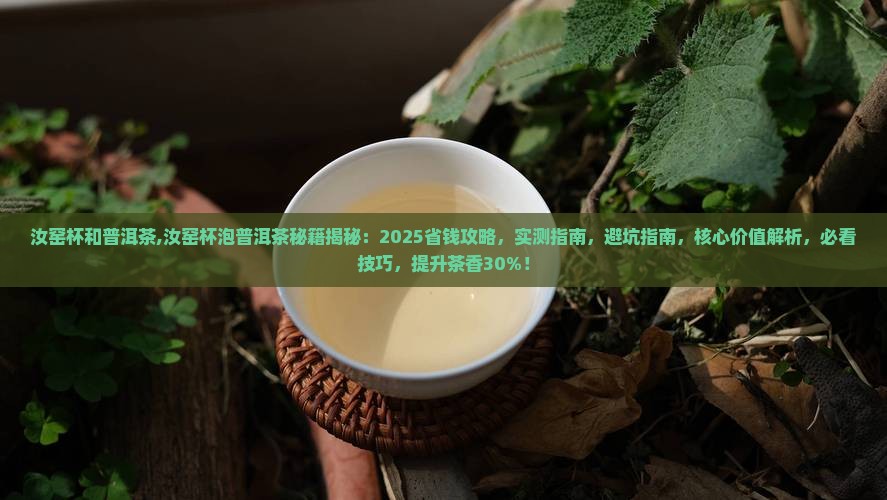 汝窑杯和普洱茶