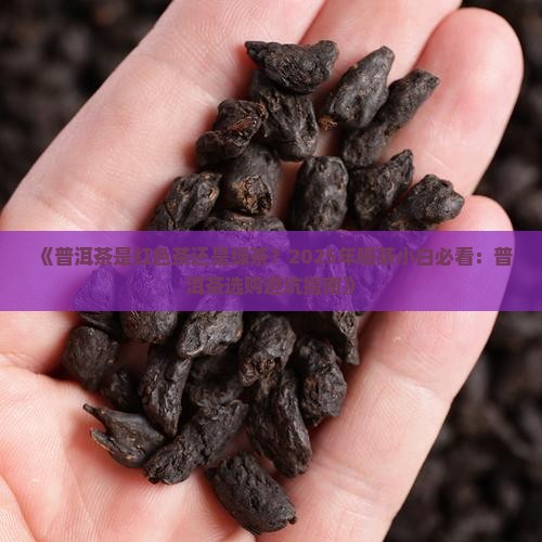 普洱茶是红色茶还是绿茶