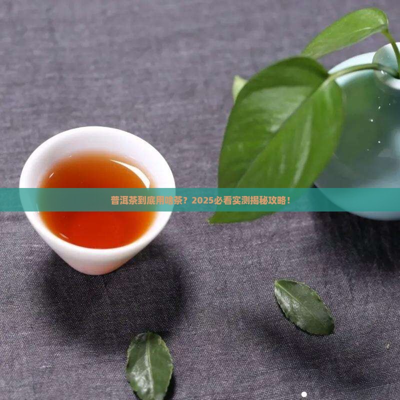 普洱茶是用哪种茶