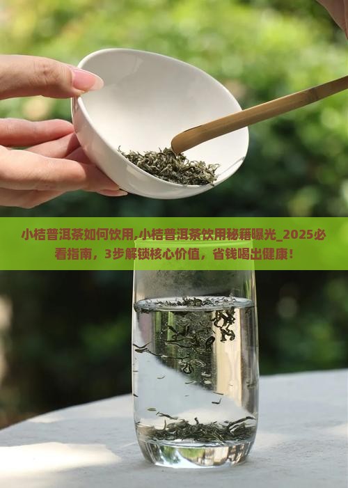 小桔普洱茶如何饮用