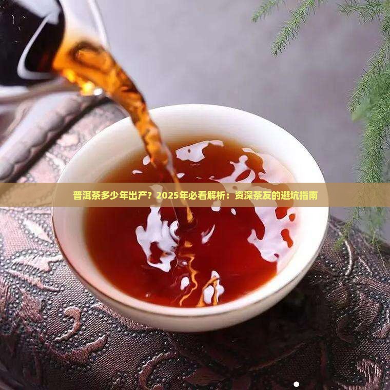 普洱茶多少年出产