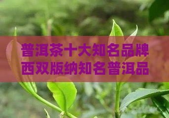 普洱茶十大知名品牌南糯山