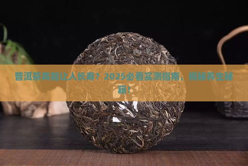 普洱茶是长寿茶吗