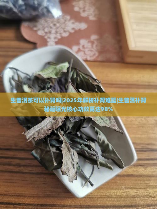 生普洱茶可以补肾吗