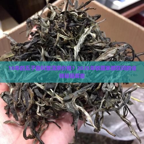 10年的五子登科普洱茶价格