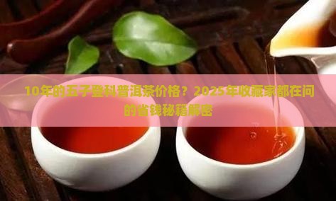 10年的五子登科普洱茶价格