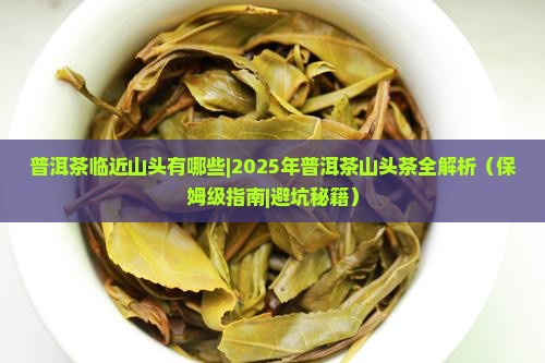 普洱茶临近山头有哪些