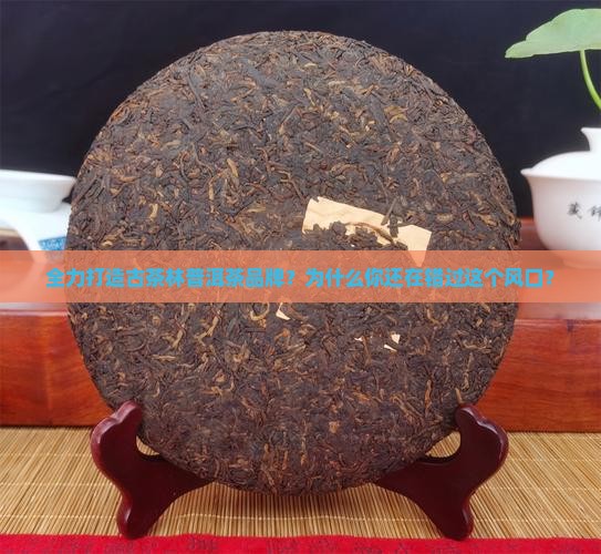 全力打造古茶林普洱茶品牌