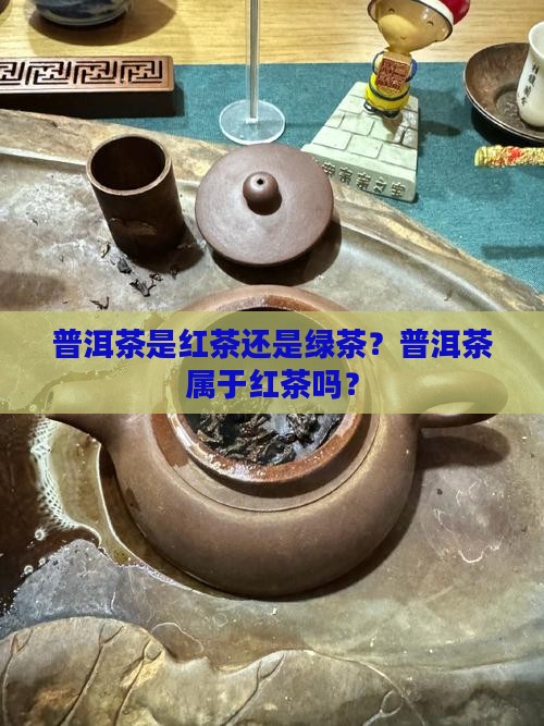 普洱茶是红茶吗6