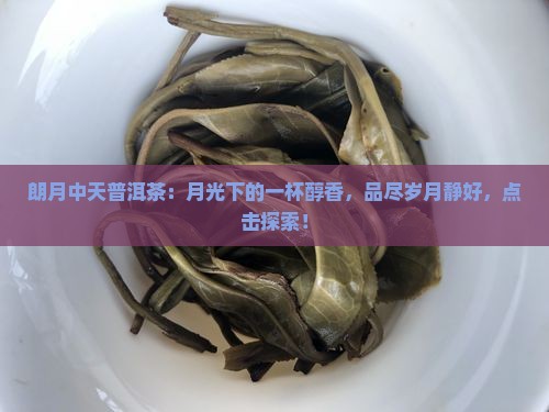 朗月中天普洱茶